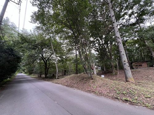 Vacant Land for Villa in Tsumagoi Village, Gunma - 1642 sqm - Thumbnail 2