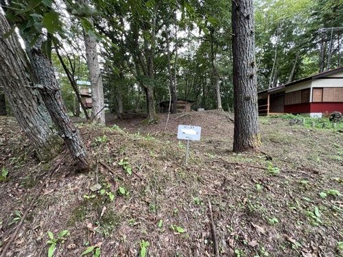 Vacant Land for Villa in Tsumagoi Village, Gunma - 1642 sqm - Thumbnail 4