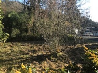 899 sqm Vacant Land for Sale in Ashikaga, Tochigi - Thumbnail 4