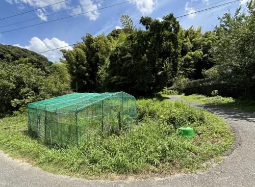 1,184 sqm Land Plot for Sale in Nakagawa City, Fukuoka - Thumbnail 3