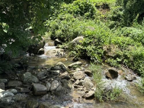 1,184 sqm Land Plot for Sale in Nakagawa City, Fukuoka - Thumbnail 2