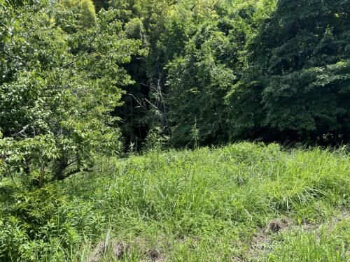 1,184 sqm Land Plot for Sale in Nakagawa City, Fukuoka - Thumbnail 4