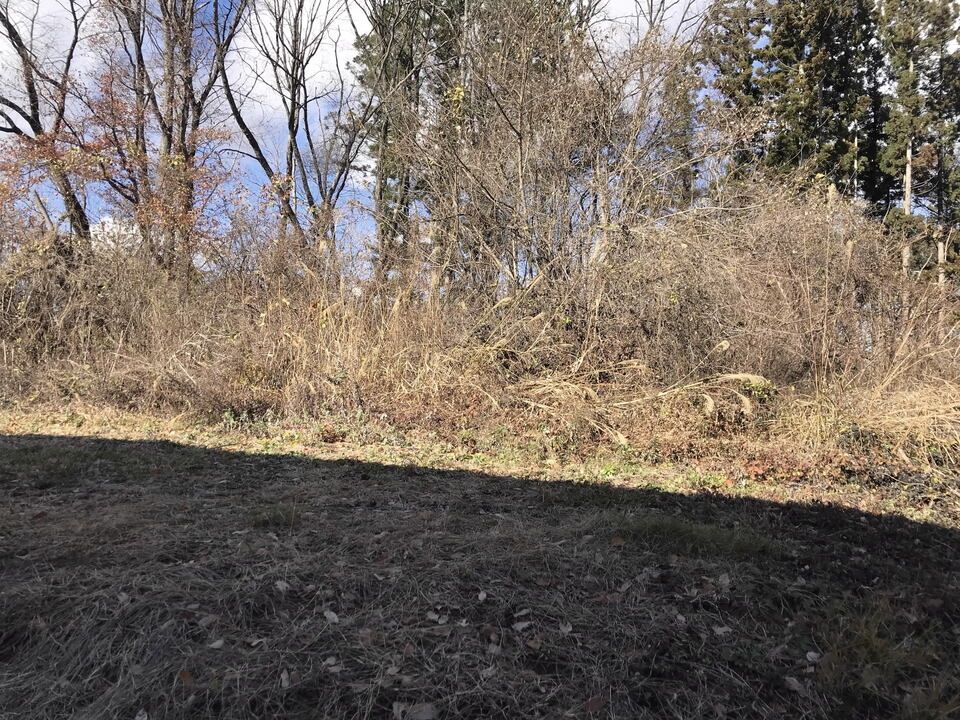 Vacant Land for Sale in Iizuna Town, Nagano - 945.59 sqm - Thumbnail 2
