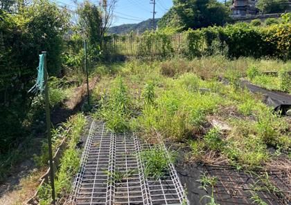 Spacious 13DK House for Sale in Mihara, Hiroshima - Thumbnail 4