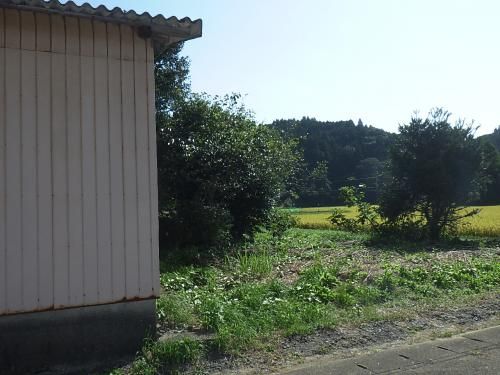 Two-Generation House for Sale in Imari, Saga - 9DK, 573 sqm Land - Thumbnail 4