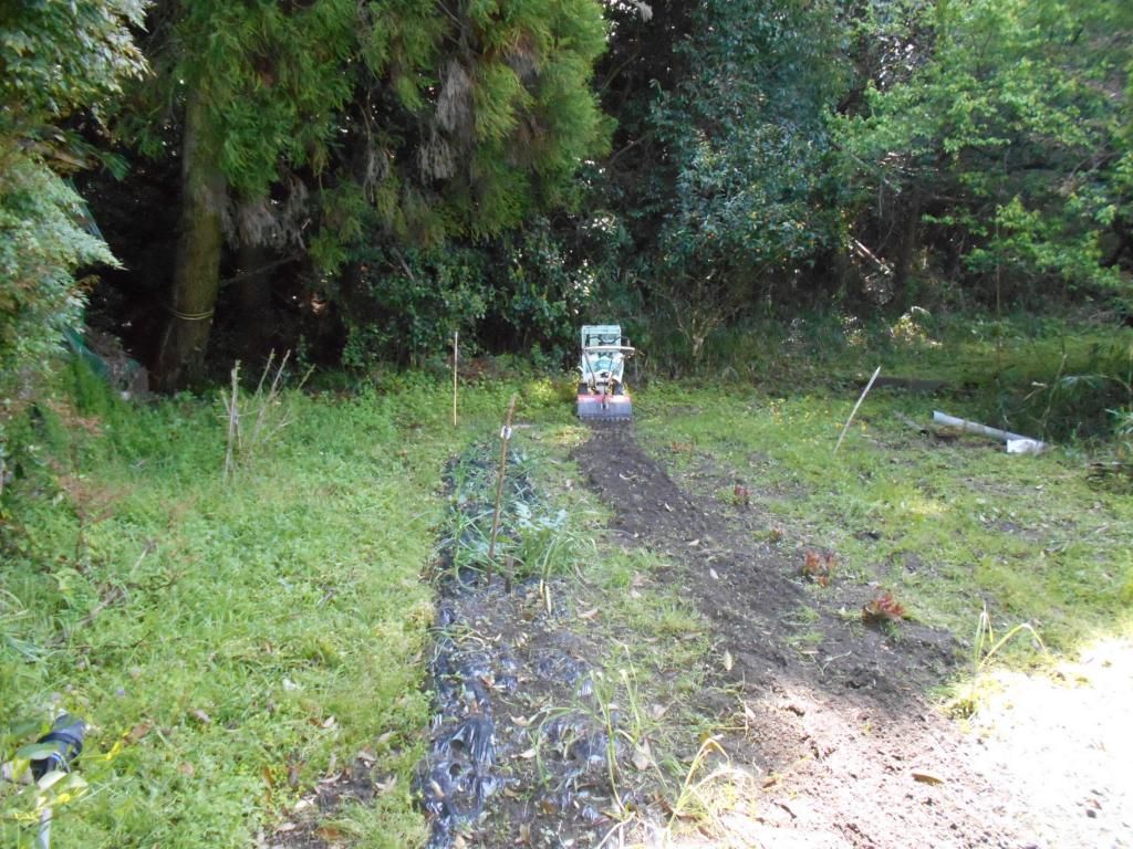 1951 3K Farmhouse with Land for Sale in Ebino, Miyazaki - Thumbnail 2