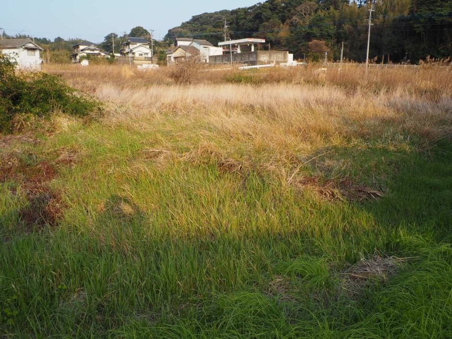Vacant Land for Rent in Ishida, Iki City, Nagasaki - 1983 sqm - Thumbnail 2