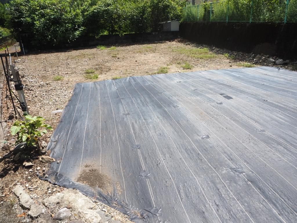Vacant Land for Sale in Naka Town, Tokushima - 143.32 sqm - Thumbnail 2