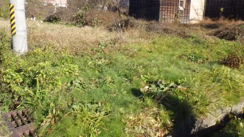 Vacant Land for Sale in Tadami, Fukushima - 172.84 sqm Plot - Thumbnail 4