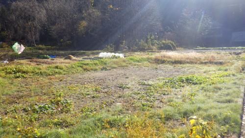 Vacant Land for Sale in Tadami, Fukushima - 172.84 sqm Plot - Thumbnail 3