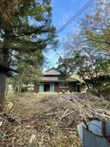 Spacious 874 sqm Land with Mountain Forest in Nishiwaki, Hyogo - Thumbnail 3