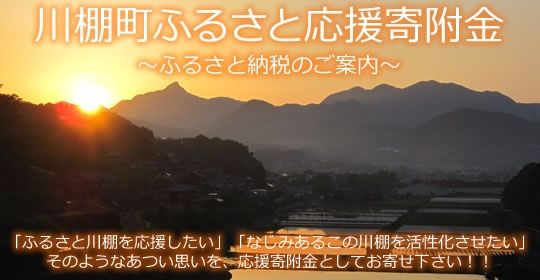 Vacant Land for Sale in Kawatana Town, Nagasaki - 156.67 sqm - Thumbnail 2