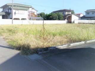 480 sqm Vacant Corner Lot for Sale in Tochigi City - Thumbnail 2