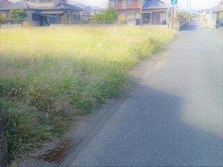 480 sqm Vacant Corner Lot for Sale in Tochigi City - Thumbnail 3