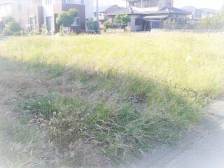 480 sqm Vacant Corner Lot for Sale in Tochigi City - Thumbnail 4