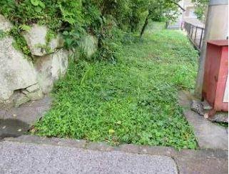 Usuki City Vacant House Bank (Registration No. 427) - Property Details - Usuki City Vacant House Bank Site, Oita Prefecture — Image 3, Usuki, Oita