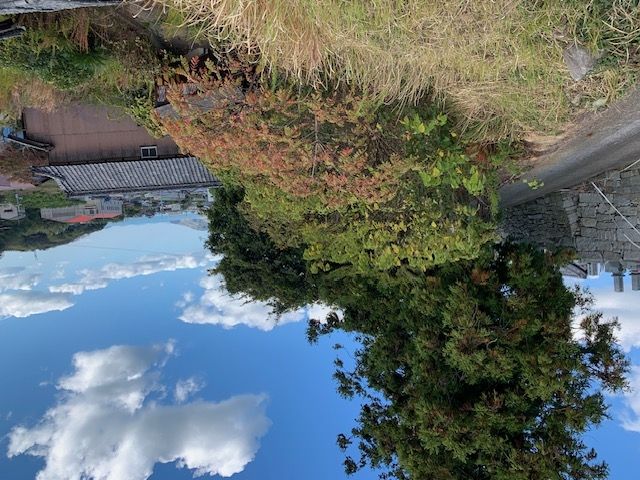 Traditional 8DK House on 1317 sqm Land in Imabari, Ehime - Thumbnail 2