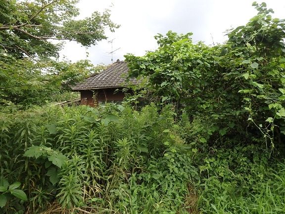 106-Tsubo Vacant Land with Rural Views in Takaharu, Miyazaki - Thumbnail 3