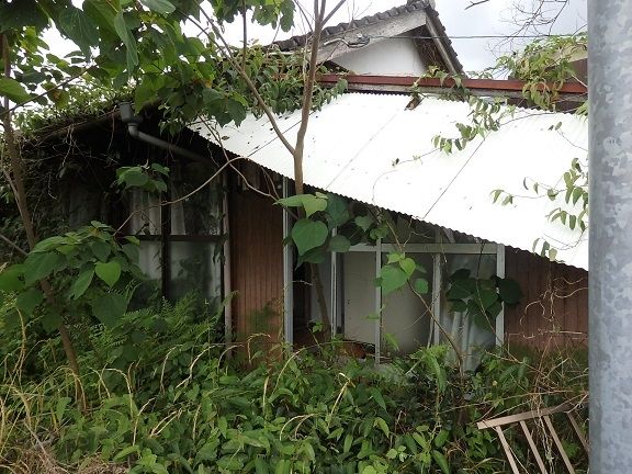 106-Tsubo Vacant Land with Rural Views in Takaharu, Miyazaki - Thumbnail 2
