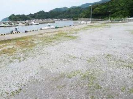 Sea-Side Wooden Akiya House for Sale in Usuki, Oita - Thumbnail 4