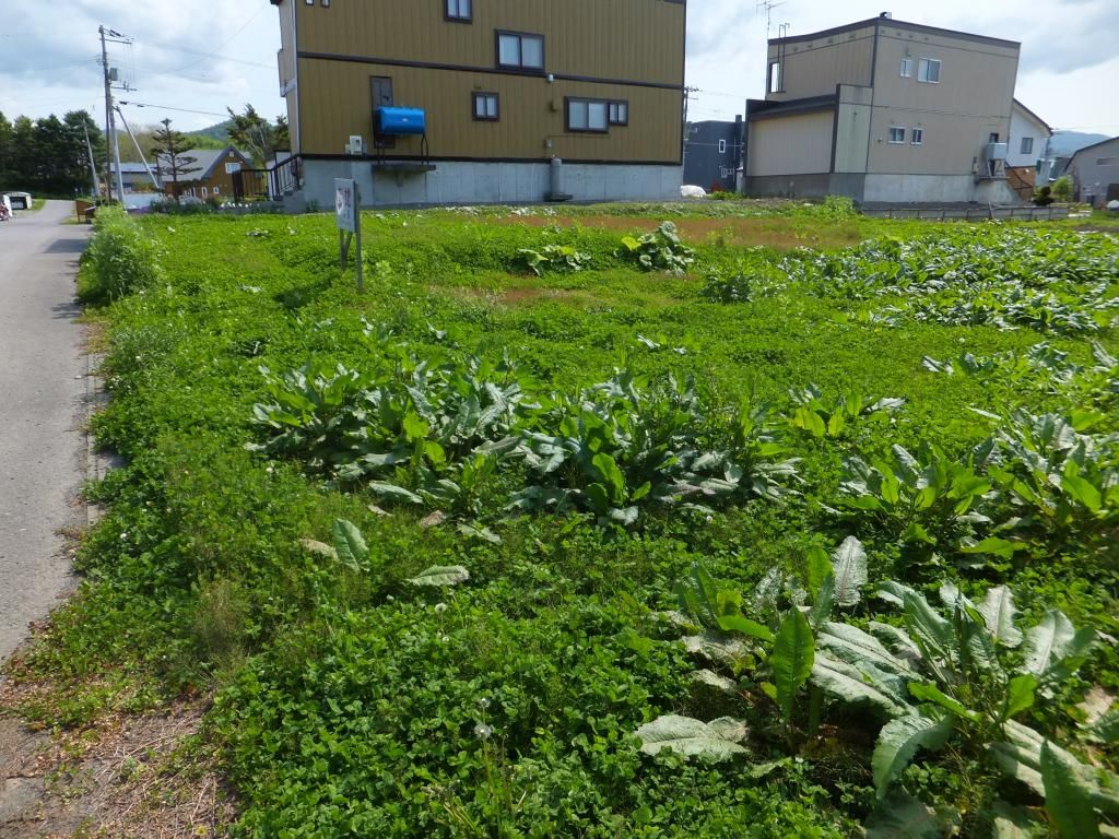 Vacant Land for Sale in Ashibetsu, Hokkaido - 647 sqm - Thumbnail 3