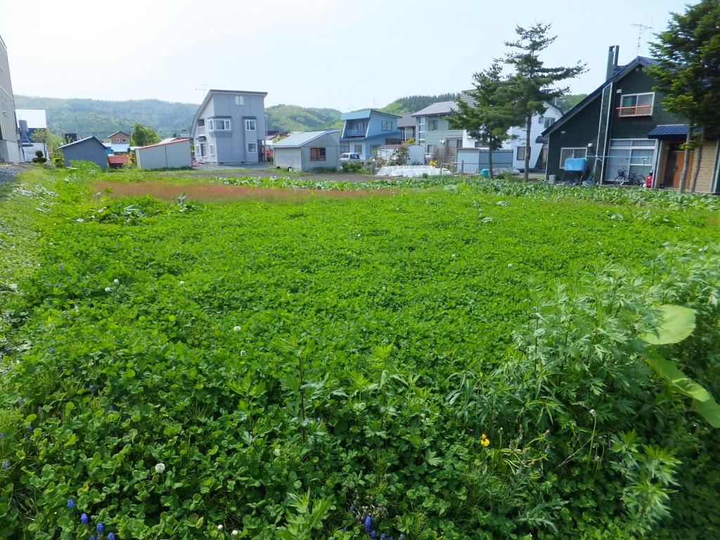 Vacant Land for Sale in Ashibetsu, Hokkaido - 647 sqm - Thumbnail 2