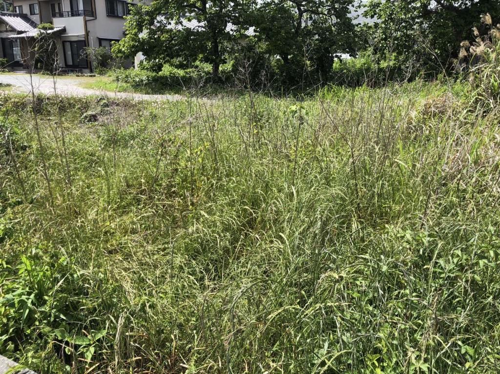 426.8 sqm Land for Sale in Uki City, Kumamoto Near the Sea - Thumbnail 3