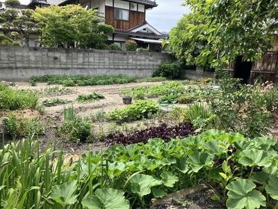 8K Traditional House for Sale in Takehara, Hiroshima - 152.8 sqm — Image 11, Takehara, Hiroshima