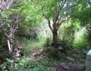 Traditional-Style Akiya House for Sale in Usuki, Oita - Image 11