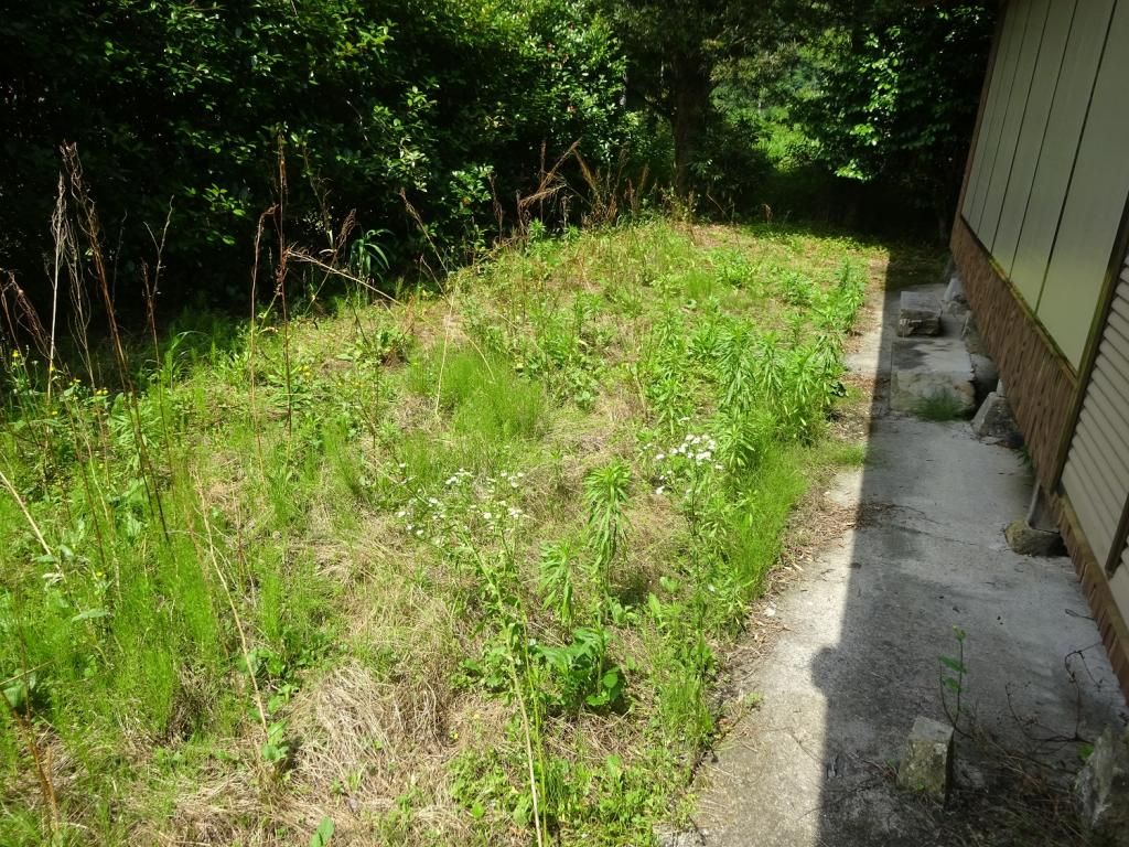 Meiji-Era Historic House for Rent in Satsumasendai, Kagoshima - Thumbnail 2