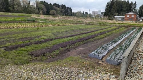 1,371 sqm Land for Sale with Mountain Views in Sanjo, Niigata - Thumbnail 4