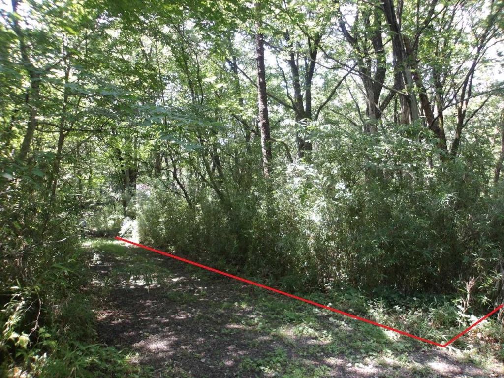 293 Tsubo Land for Sale in Akagi Prince Resort, Kiryu - Thumbnail 4