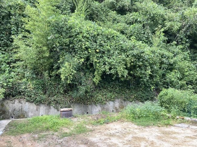 Vacant Sea-Side Land for Sale in Historic Hagi, Yamaguchi - Thumbnail 4