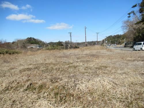 Vacant Land for Sale in Matsushima with Telecom Tower Lease - Thumbnail 2
