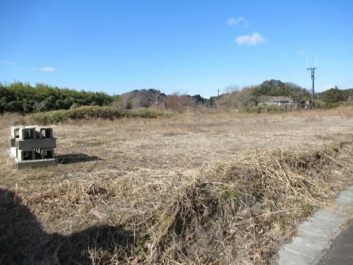 Vacant Land for Sale in Matsushima with Telecom Tower Lease - Thumbnail 4