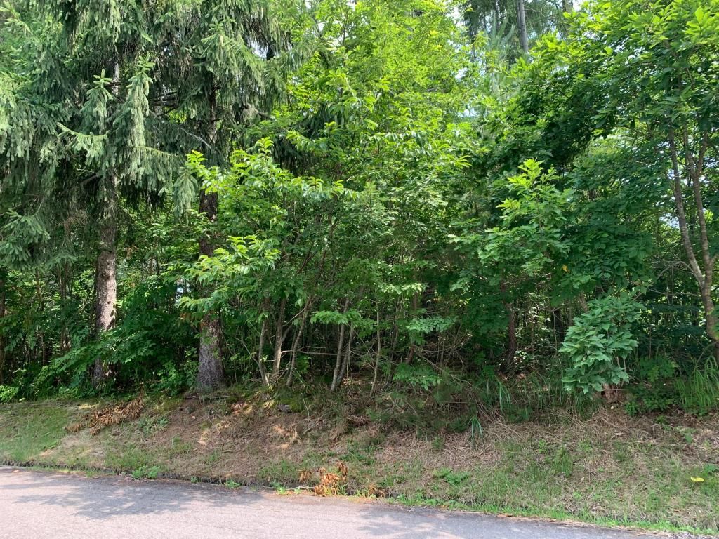 Land for Sale in Iizuna Town's Tsutsujigahara Villa Area, Nagano - Thumbnail 2