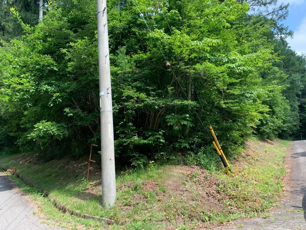 Land for Sale in Iizuna Town's Tsutsujigahara Villa Area, Nagano - Thumbnail 3