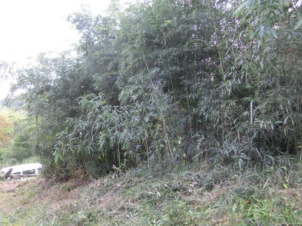 682 sqm Residential Land Plot for Sale in Kiryu, Gunma - Thumbnail 2