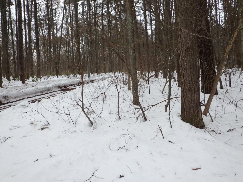 Vacant Land for Sale in Iizuna Town, Nagano - 1025 sqm Highland Plot - Thumbnail 2