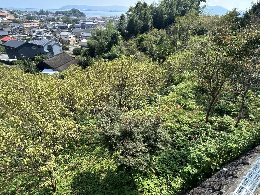 Sea View Vacant Land in Kadogawa, Miyazaki - 2049 sqm Plot - Thumbnail 4