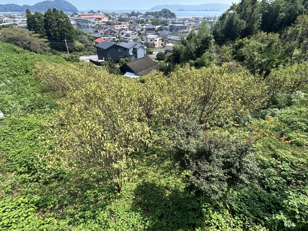 Sea View Vacant Land in Kadogawa, Miyazaki - 2049 sqm Plot - Thumbnail 2