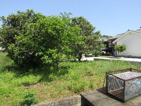 Traditional 1945 House with Garden & Field in Kitsuki, Oita - Thumbnail 3