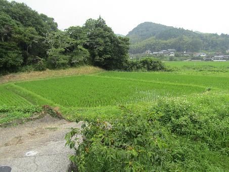 Kitsuki Akiya: 10K House with Garden in Oita Countryside - Thumbnail 4