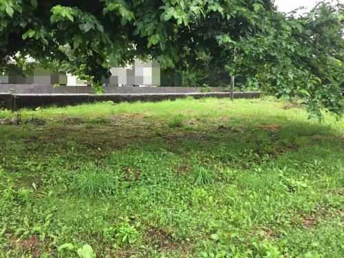 Vacant Corner Lot for Sale in Iwanai, Hokkaido - 264.47 sqm - Thumbnail 3