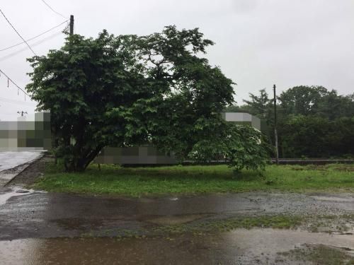 Vacant Corner Lot for Sale in Iwanai, Hokkaido - 264.47 sqm - Thumbnail 2