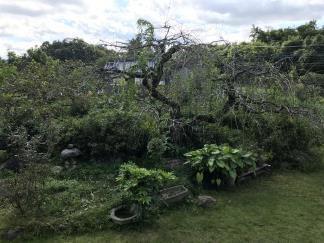 House for Sale in Satsuma Town — Image 2, Satsuma, Kagoshima