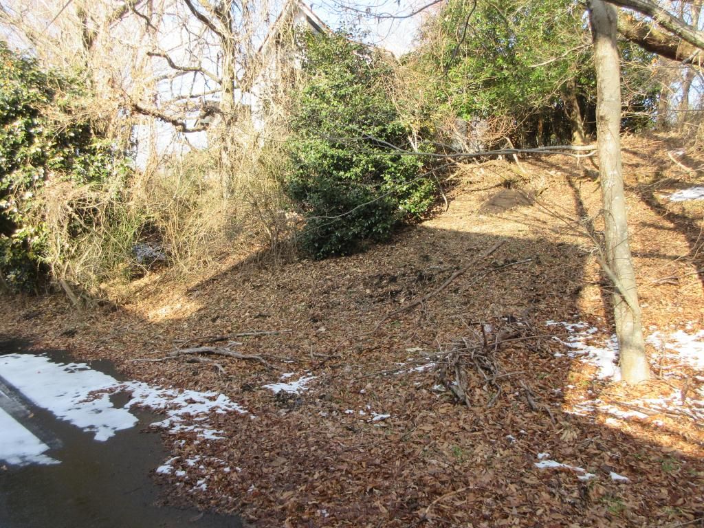 Vacant Land for Sale in Kokonoe, Oita - 155 sqm Plot - Thumbnail 2
