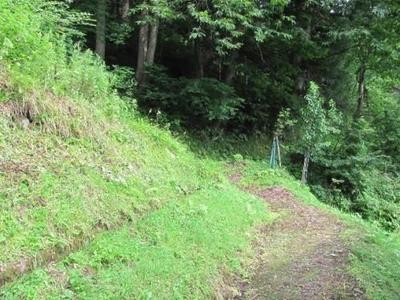 5K Detached House with Field for Sale in Yanaizu, Fukushima — Land, Yanaizu, Fukushima