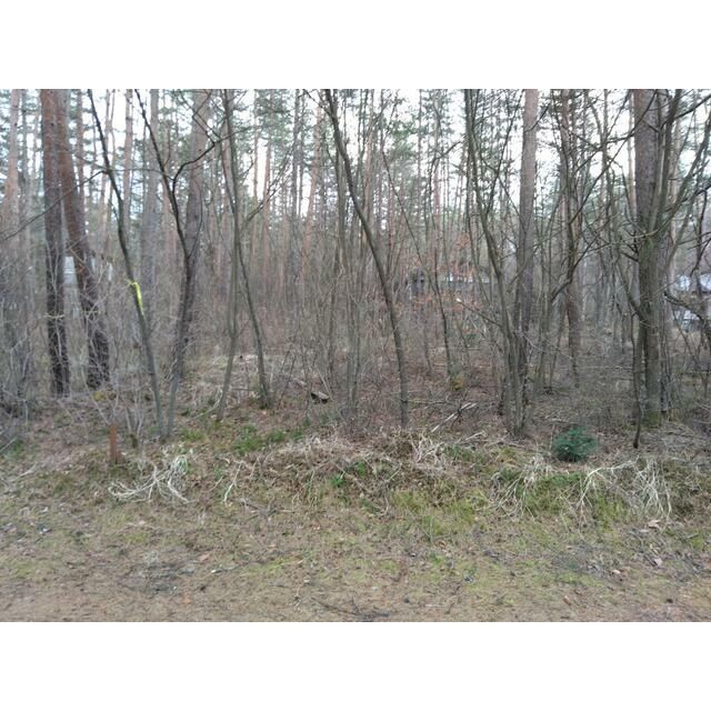 826 sqm Residential Land for Sale in Tsumagoi Village, Gunma - Thumbnail 4