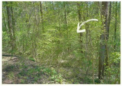 Vacant Land in Iizuna, Nagano with Mountain Views - 1056 sqm - Thumbnail 2